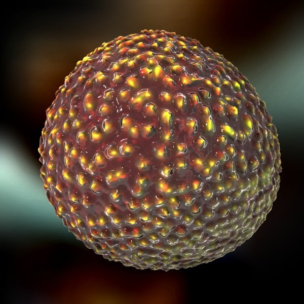 flavivirus 3D Models - CGTrader.com
