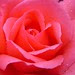 From Supriya O