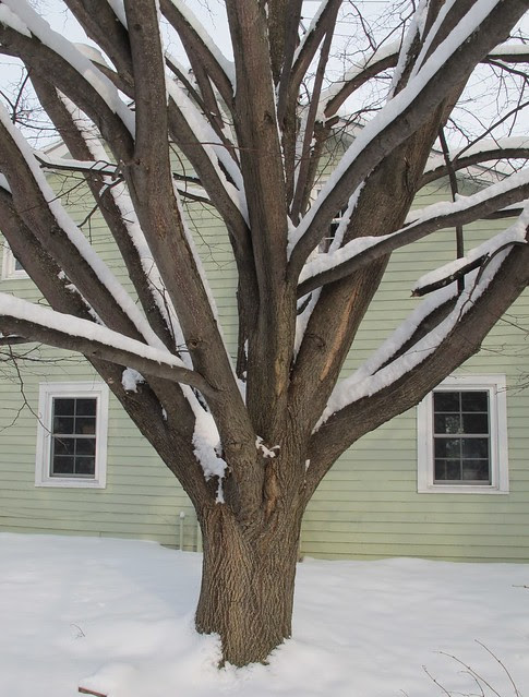 snowed in 