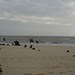 Walberswick beach
