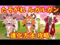 √99以上 イワンコ 色違い たそがれ 664343-イワンコ 色違い たそがれ