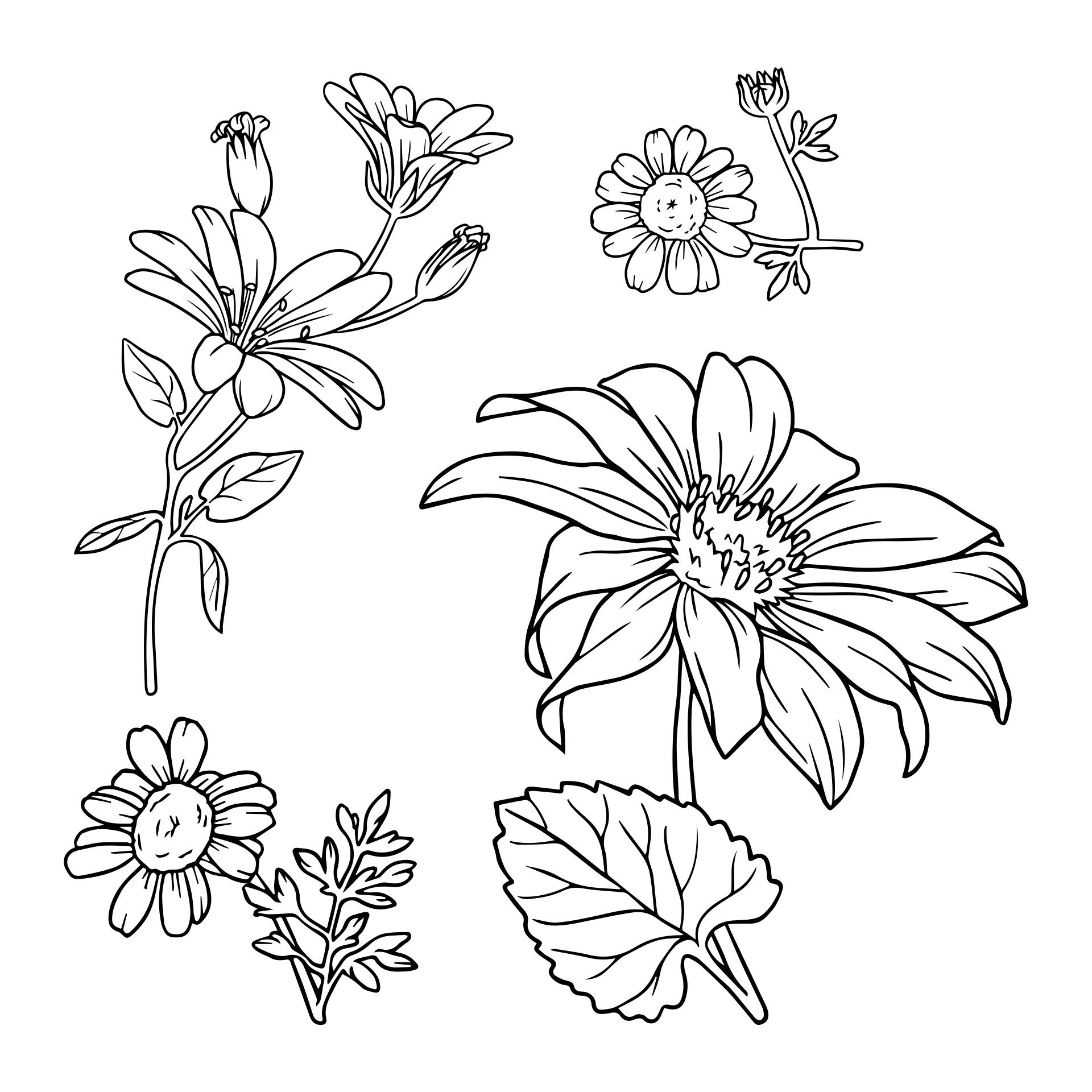 7 Best Images of Printable Flower Patterns Wood - Free ...