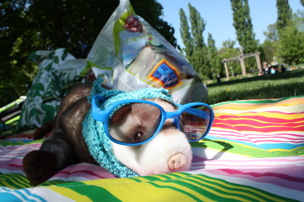 Prater Picknick 037