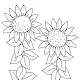 Lukisan Bunga Matahari Gambar Bunga Hitam Putih - Gambar Bunga Matahari Png Vektor Psd Dan Clipart Dengan Background Transparan Untuk Download Gratis Pngtree