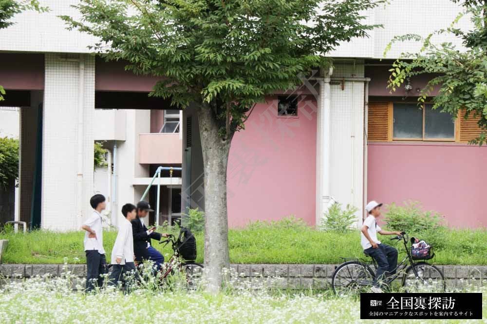 Dqnの これは大阪の恥部 信太山新地の隣 和泉第一団地 に潜入する 巣窟 3 全国裏探訪