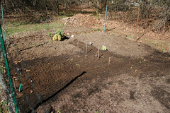 mom and dads garden - first planting 024