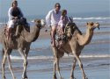 Essaouira Beach Camel Ride