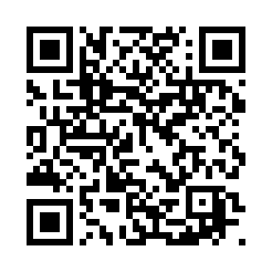 Generador de Códigos QR Codes