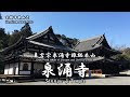 ++ 50 ++ 泉涌 寺 縁結び 908288