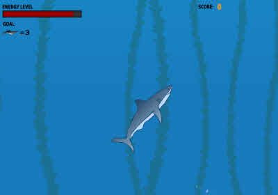 Shark Bait Game