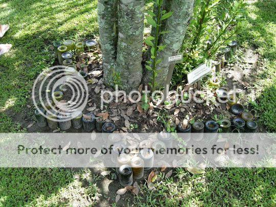 wine bottled garden edges