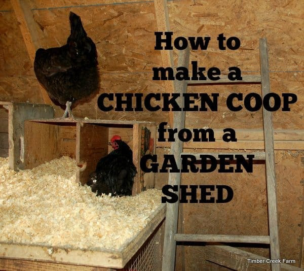 Making a garden shed into a chicken coop, metal garden shed - 6 x 4ft 