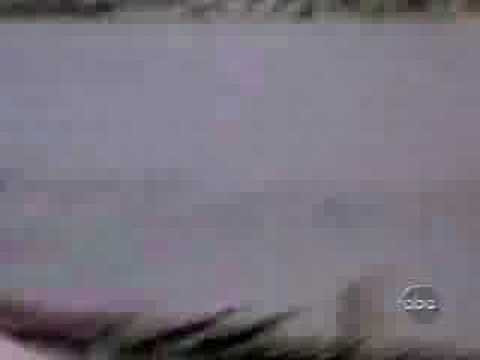 fat people falling over. fat people falling over. watch people fall and get hurt its funny