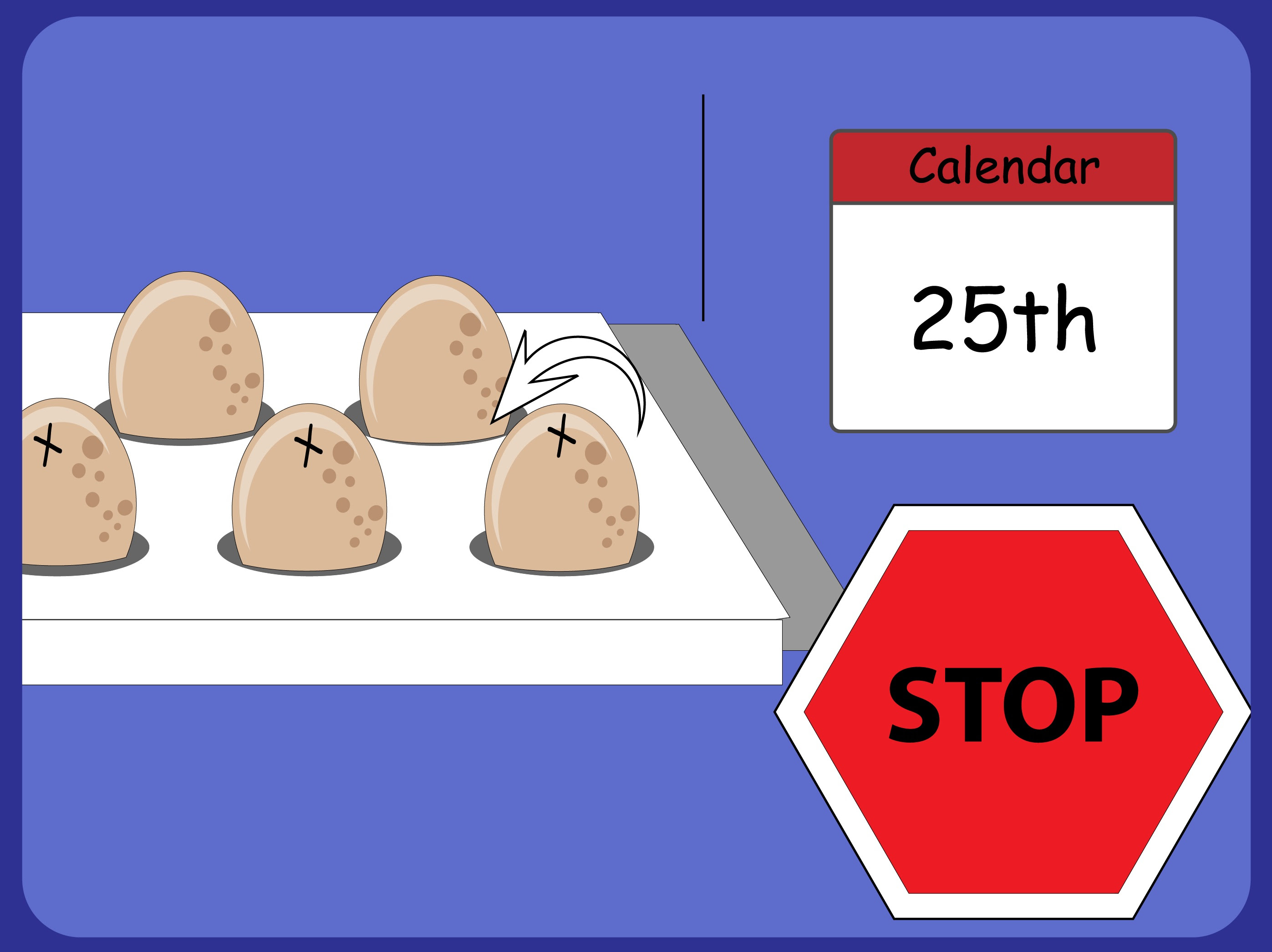 How to Hatch Turkey Eggs in an Incubator: 8 Steps (with ...