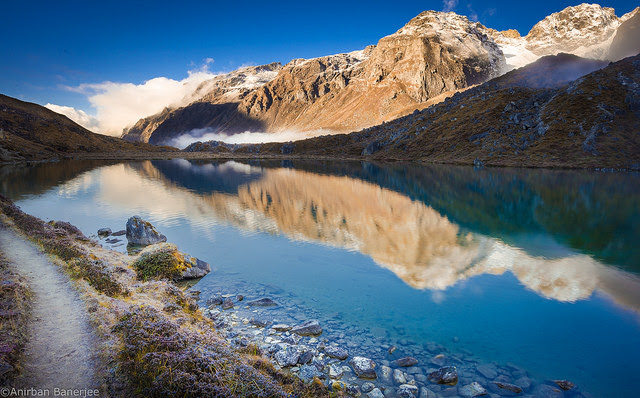 Four Most Famous Wildlife Sanctuaries In Sikkim Sikkim Tourism India