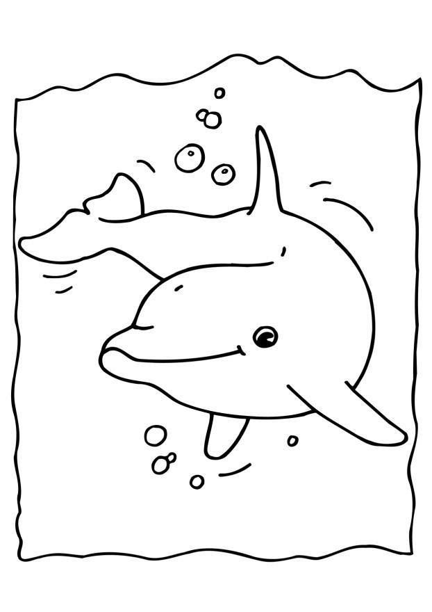 Free Printable Coloring Pages Dophins - dolphin coloring page, adult coloring sheet, nautical ... : Template to email a credit card receipt for phone payment.