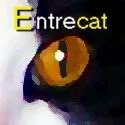 entrecard,purrchance to dream