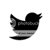  photo twitter_zps95428912.png
