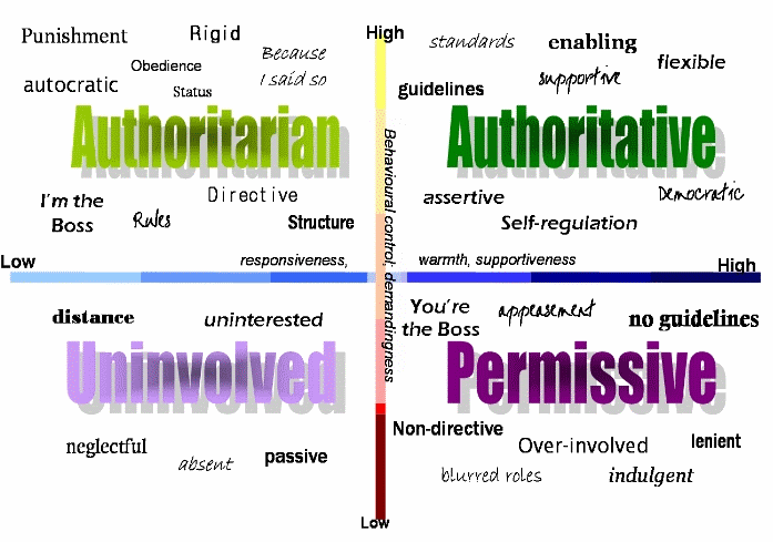 Parenting 101-An Introducation to Baumrind's Parenting ...