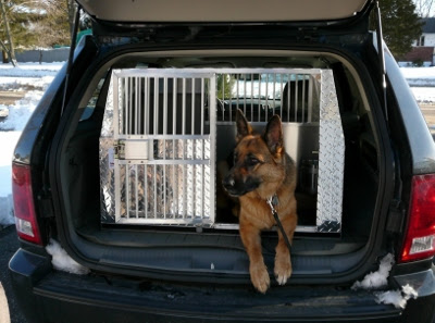 Door with built in pet door