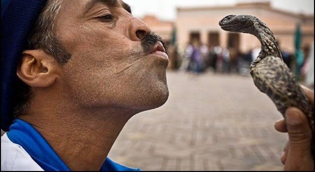Snake Player in EGYPT