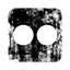 synapse