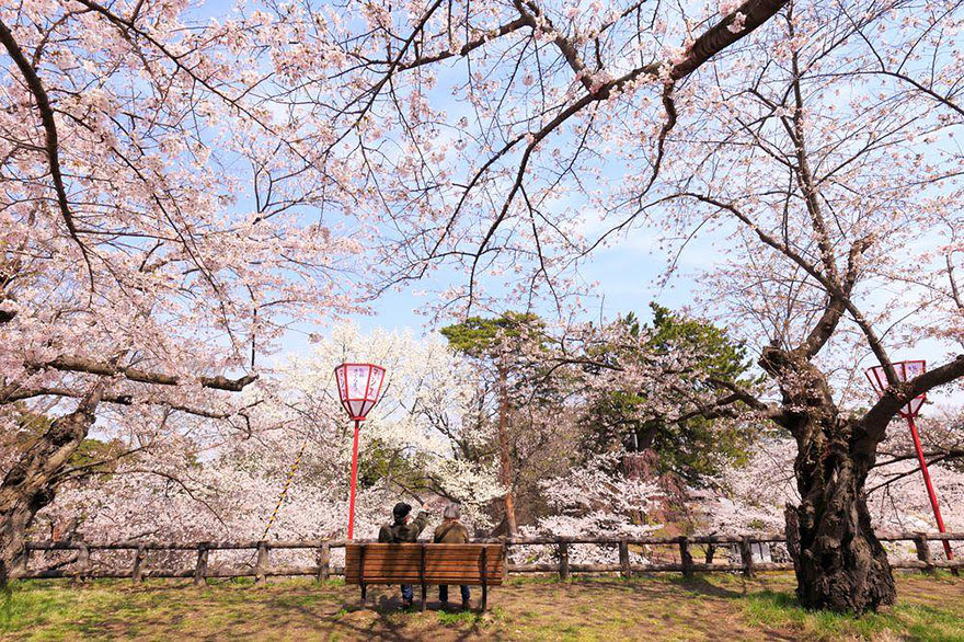 spring-japan-cherry-blossoms-national-geographics-16