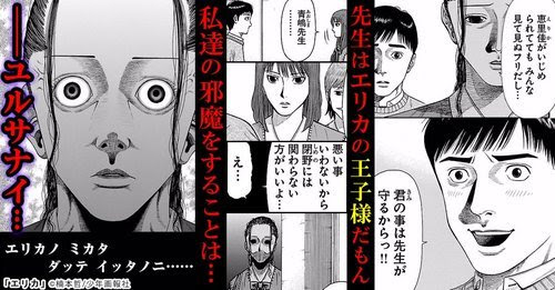エリカ 読め しかして希望せよ 16年 広告で気になった漫画紹介 毎日漫画を読んでいこう