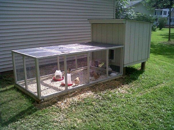 ... www.backyardchickens.com/forum/uploads/thumbs/99365_chicken_coop.jpg