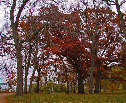 DSC04207