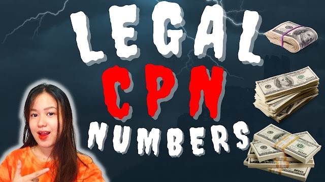 CPNGenerator - Credit Profile Numbers
