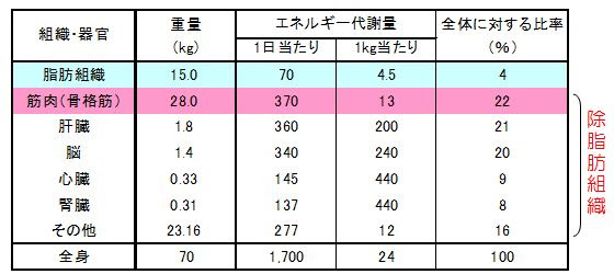 コラム 健康 体力アップ情報 横浜市スポーツ医科学センター