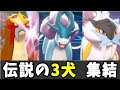 200以上 エンテイ スイクン ライコウ 289522-エンテイ スイクン ライコウ 強さ