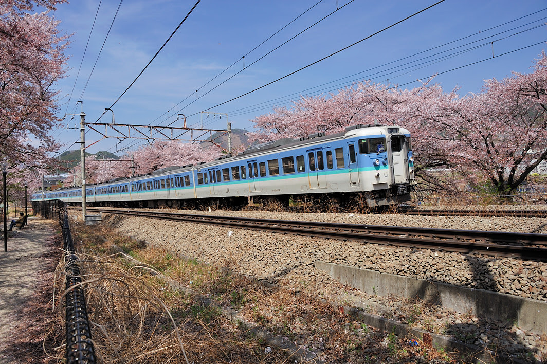 115系と桜 At 勝沼ぶどう郷駅 酒とmacと 人生を楽しもう