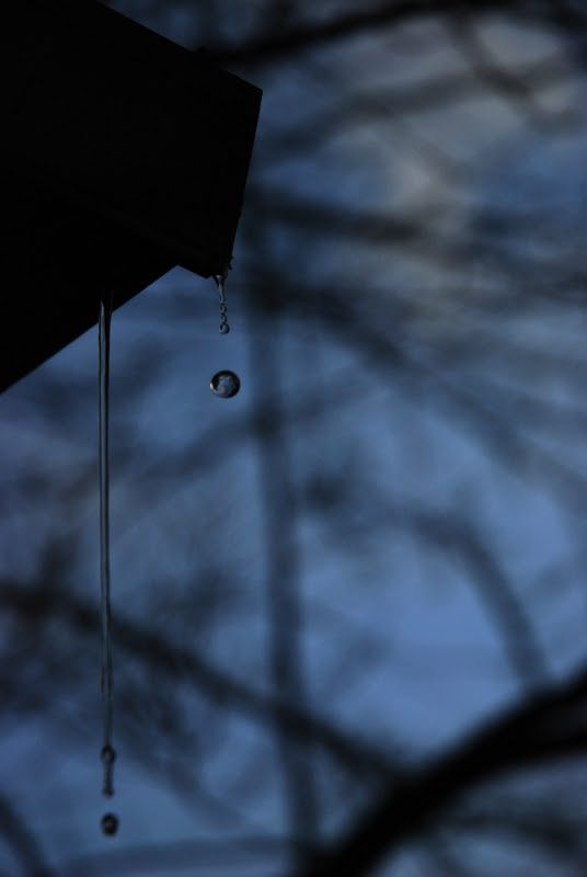 Dripdrop