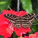 DSC_0561wtmk