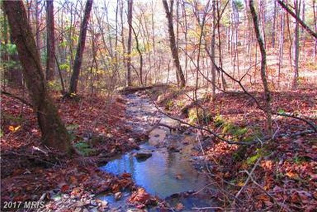 dirt cheap estate at lake b.k. haynes land store