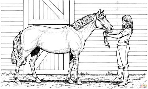 Lady riding a horse picture to color. free printable horse coloring pages for adults coloring home