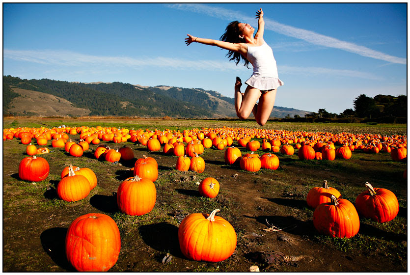 Pumpkin Day | pumpkin, hills, field, holiday