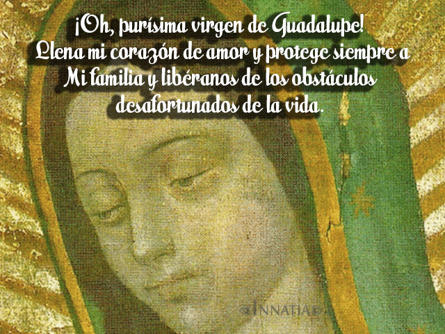 Frases e imágenes de la Virgen de Guadalupe con frases para descargar -  Innatia.com
