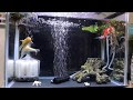 [最も選択された] 水槽 手入れ 簡単 316560