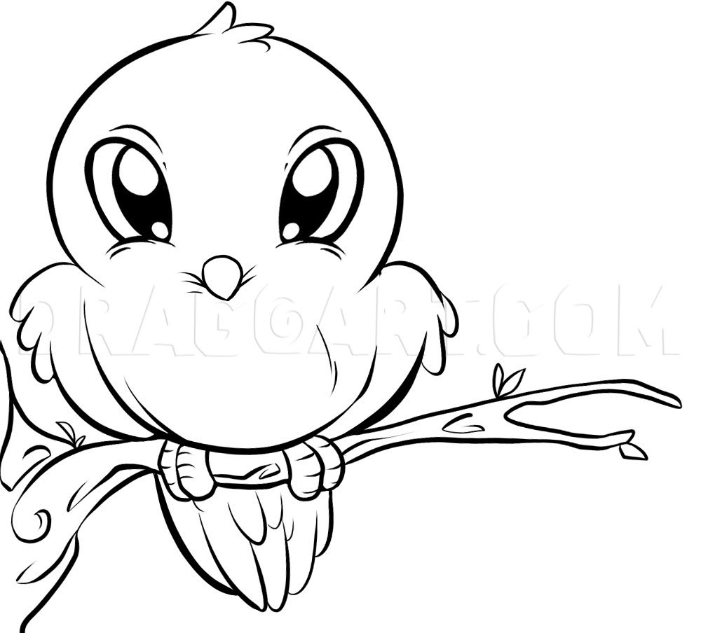 how to draw a cute bird step 6