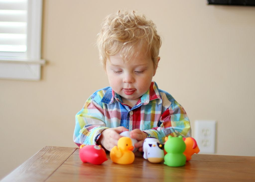  photo IMG_4741_zps6wd0e2xm.jpg
