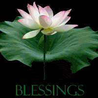  photo BlessingsFlower_1_zpspito68qw.gif