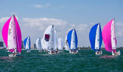 J/70s sailin on Biscayne Bay