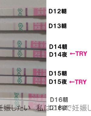 妊娠した時の排卵検査薬まとめ 妊娠したい 私はこれで妊娠しました