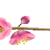 :iconmv7plz: