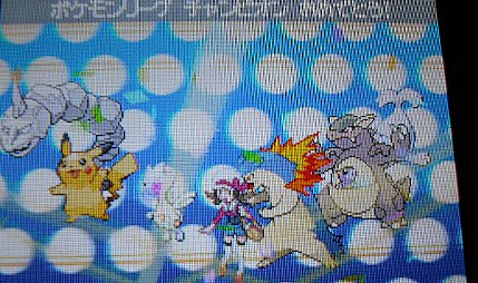 ポケットモンスターハートゴールド 殿堂入り ママさんゲーマーのゲームブログ