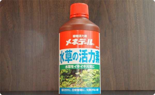メネデールでロタラインディカを赤くする 主役は水草