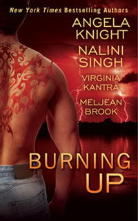 Burning Up cover